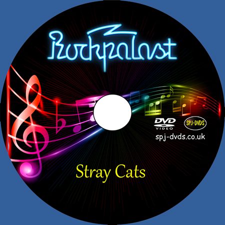 stray cats download